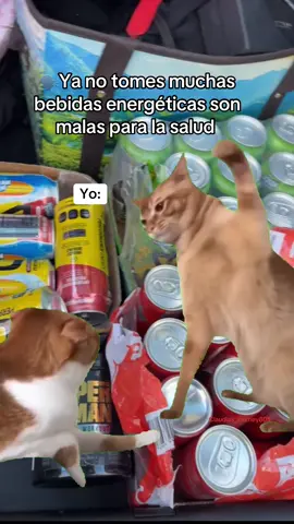 Jaja #BebidasEnergéticas #MiVicio #NoPuedoParar #HumorLatino #MemeDeGatos #TikTokRisas #CosasQueNoDejo #ModoAnsioso #EnergíaArtificial #GatitosTikTok #RelatableAF #MemeTikTok #TeamMonster #TeamRedBull #AdictoALaEnergía #GymTok #GymMemes #FitnessHumor #GymFails #PreWorkoutKickedIn #TikTokGymLife #LegDayFeels #NoPainNoGain #GymCouples #BroSplitHumor #WorkoutMeme #BeastModeMemes #LiftLaughRepeat  #GymEtiquette #BroCodeBroken #MachineThief #TikTokGymMemes #trending #fy #fyp #fypvirql  #LegDayStruggles #NeverSkipLegDay #GymPainIsReal #GymPartnerFails #GymFriends #SpottingLevel100 #TrustIssuesGymEdition #PreWorkoutMadness #GymFails #BuzzingHard #C4HitsDifferent #GymMotivation #5AMClub #NoDaysOff #DisciplineOverMotivation 