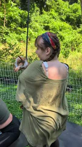 never know what to expect from goat yoga  . . . . . . . . #kiddingaroundasheville #goats #goatyoga #yoga #jackass #kiddingaround #cuteanimals #funnyanimals #funny #asheville #northcarolina 