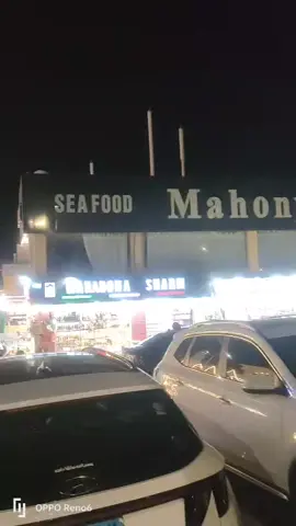 #خليج #نعمه #شرم_الشيخ #سينا #سيناء #البحر #الاحمر #سياحه #سفر #رحلات #🥰🥰🥰 