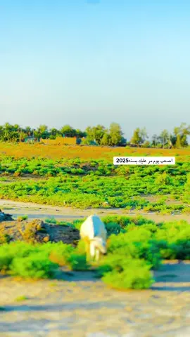 #اعادة_النشر🔃 #تصويري_احترافي_الاجواء👌🏻🕊😴 @قــــــــداوي 
