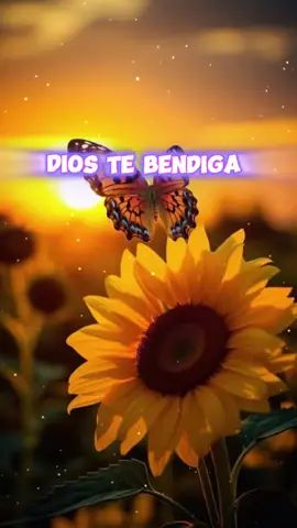 #creadordecontenido #fypage #creatorsearchinsights #paratiiiiiiiiiiiiiiiiiiiiiiiiiiiiiii 