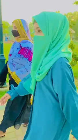 #foryou #creatorsearchinsights 