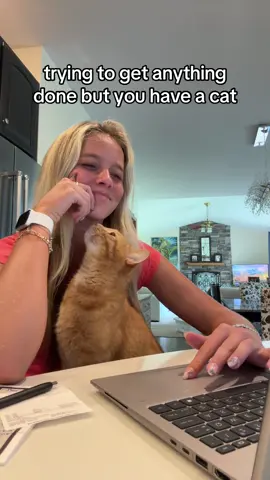 No peace in my life #ifyouknowmenoyoudont #fyp #foryou #fypシ #relatable #fyppppppppppppppppppppppp #viral #cat #cats #catsoftiktok #catlover #ginger #xyzbca 
