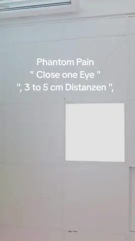 #phantom #pain #eye #opticalillusion #optica #fyp #foryou 