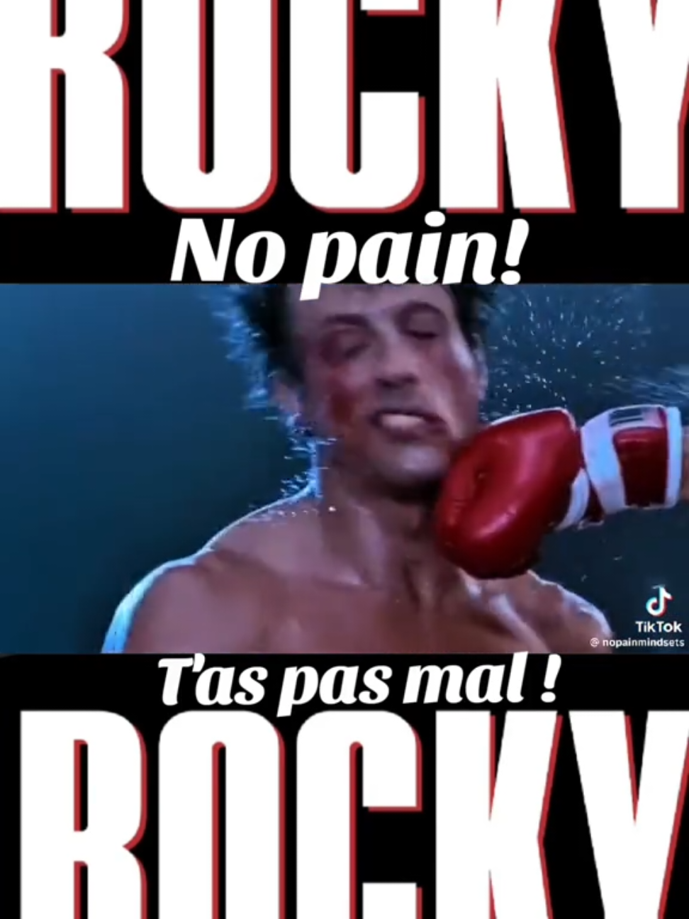 ROCKY IV #rocky #rockybalboa #demolitionman #theexpendables #sly #stallone #sylvesterstallone #rambo #creed #barneyross #dwightmanfredi #tulsaking #johnrambo #drago @sylvesterstallone @Sistine Stallone @sophiastallonee @Scarlet Stallone 