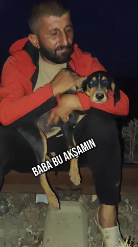 el itini övüyor sonra aslandan kusur arıyorsunuz siz itlerinize bağlayın aslan da itlerenize#karışmasın karışmasın Hasan 27 27 TikTok keşfet#benibul #benioneal 