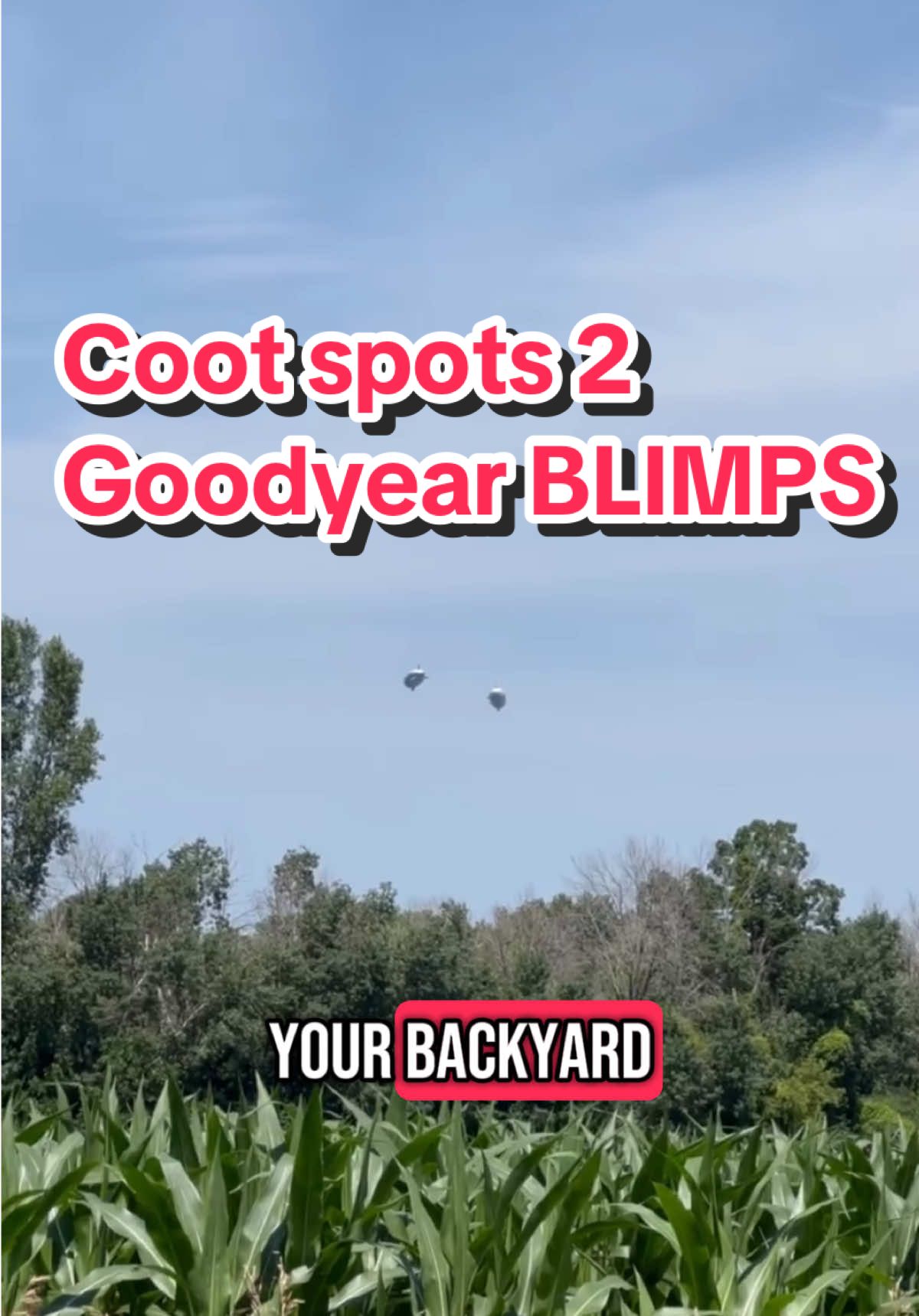 🦆Coot spots 2 @Goodyear BLIMPS in his backyard for @EAA - The Spirit of Aviation‼️🛩️ #blimps #eaa #cootslures #oshkosh #goodyearblimp #wisconsin