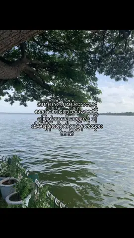 #like #foryou #views #fpyシ #fpyyyyyyyyyyyyyyyyyyyyyy #tiktok #viral 