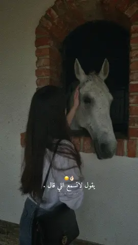 أستمتع بدنياك خلهم يولون لوهم كفو كان أوصلولك وطالو.👌🏻🙂‍↔️✨#راشديةمطنوخة #خيل_وخياله🐎 #capcut #foryou #viralvide 