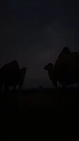 #البرق #الأبل #كسبلور #حسين_آل_سليم 