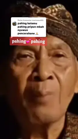Membalas @markona495 salam rahayu 🙏