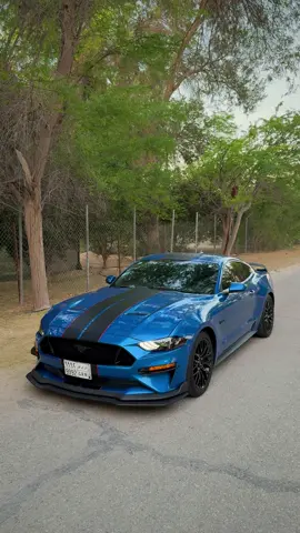 حصاني الانيق 💙🐎 ماشاء الله تبارك الله 