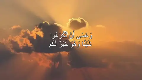 #قصائد_حسينية 