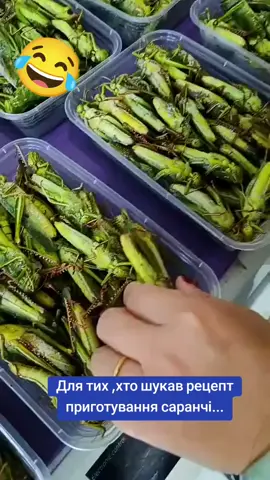 #недякуйте😏 