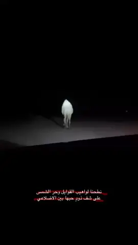 #اكسبلور #بدو #الابل #الابل_عطايا_الله #الربواء #اكس #الشعب_الصيني_ماله_حل😂😂 #اكسبلور 