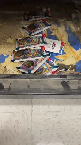 Can’t find any Pokemon cards?! LOOK UNDER THE SHELVES! I was a little hurried today, as soon as I had cards in my basket I was getting a lot of looks. Limit was two so I got what I could and dropped the rest at the front. I’m not kidding when I tell you it was gone in less than 10 minutes! Happy hunting! Be safe and keep training! #pokemoncommunity #tcg #destinedrivals #pokemonday #target 