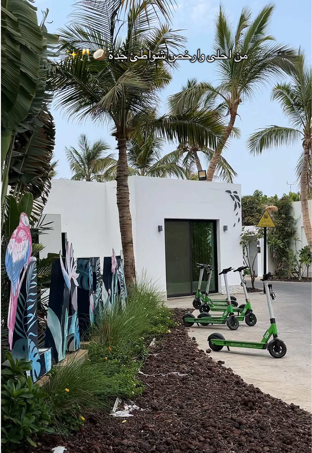 من احلى شواطئ جدة بالاسعار والنظافة - لابلايا🥥🥂✨  #شواطئ_جده #لابلايا #jeddah #beach #jeddahtiktokers 