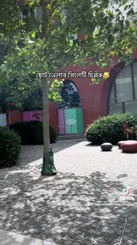 #funnyvideos😂 #Uk #london #sylhety_furi #bangladeshi #trendiing #funnytiktok #funnyvideos😂 #sylhety #bangla #sillok #bdtiktokofficial 
