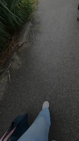 #تصويري #ألمانيا🇩🇪 #germany🇩🇪_tik_tok #لحالي_ارتاااح_نفسياً📎 #مشوار_اليوم #مطر_غيوم #بحبك 