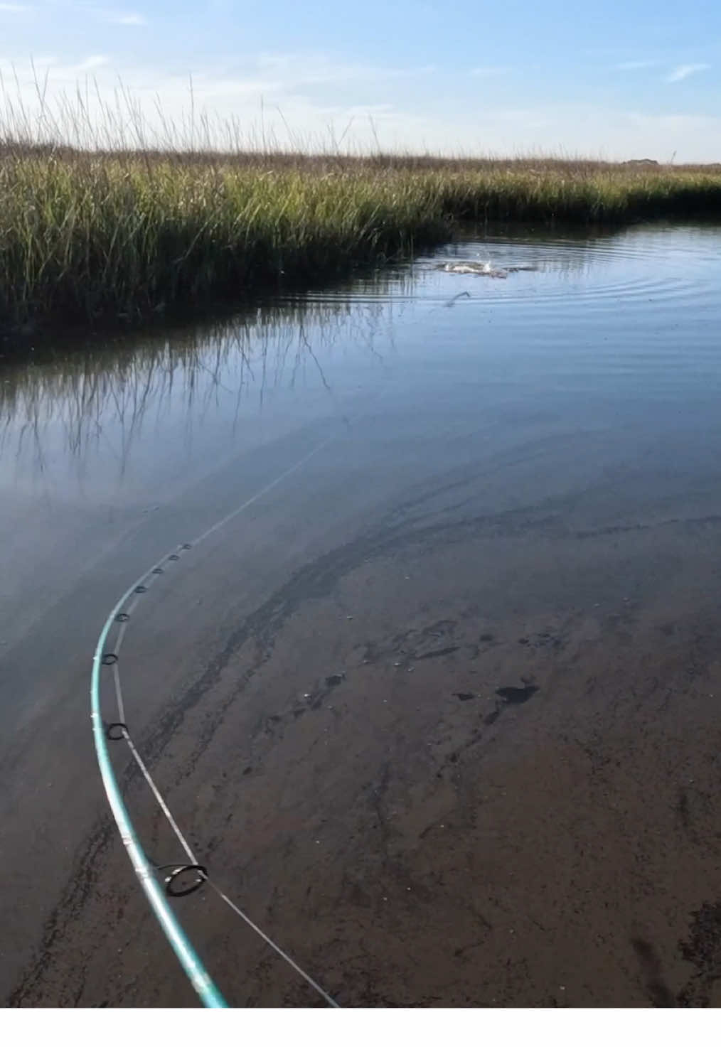 It was fun while it lasted 😂 #redfish #topwater #inshorefishing #fishing