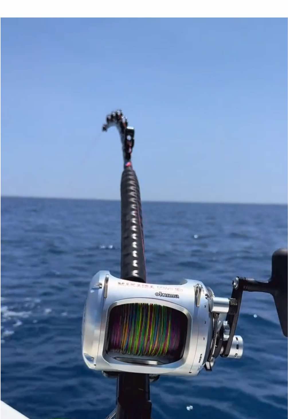 Dame un Grr… Nuestro carrete nos da un Grrrrrrrrrrrrrrrrrrrrr…..#finhunters #deepbomb #tunafishing #bluefintuna #viral 
