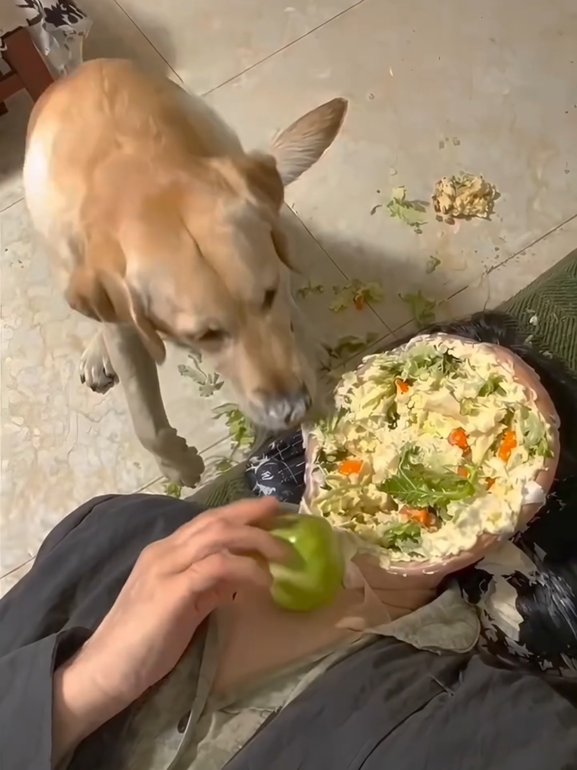 video bizarro !! #fyp #scaryvideos #bizarro #sobrenatural #medo 