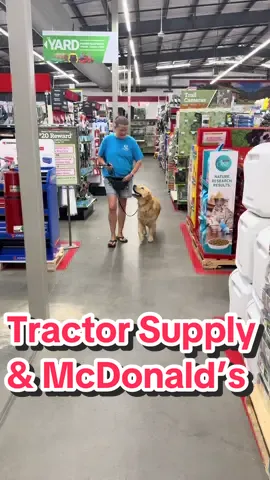 Hunka hunka boy #goldenretriever #servicedog 