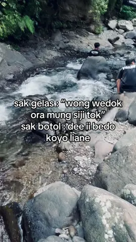 wong wedok ora mung siji tok!!!