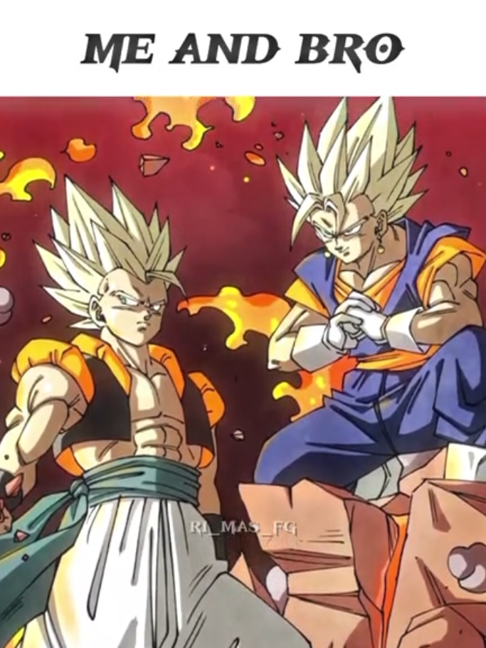 tag your @ bro... #dragonball #dbz #dbs #gogeta #vegito #duo #meandbro 