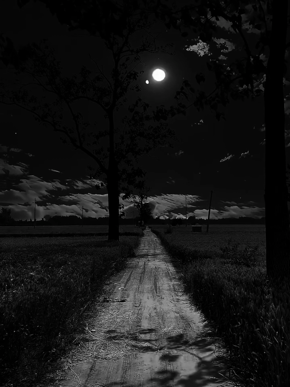 If you forget Allah, Allah will forget you 🖤 . . . . #fyp #quran #allah #usa 