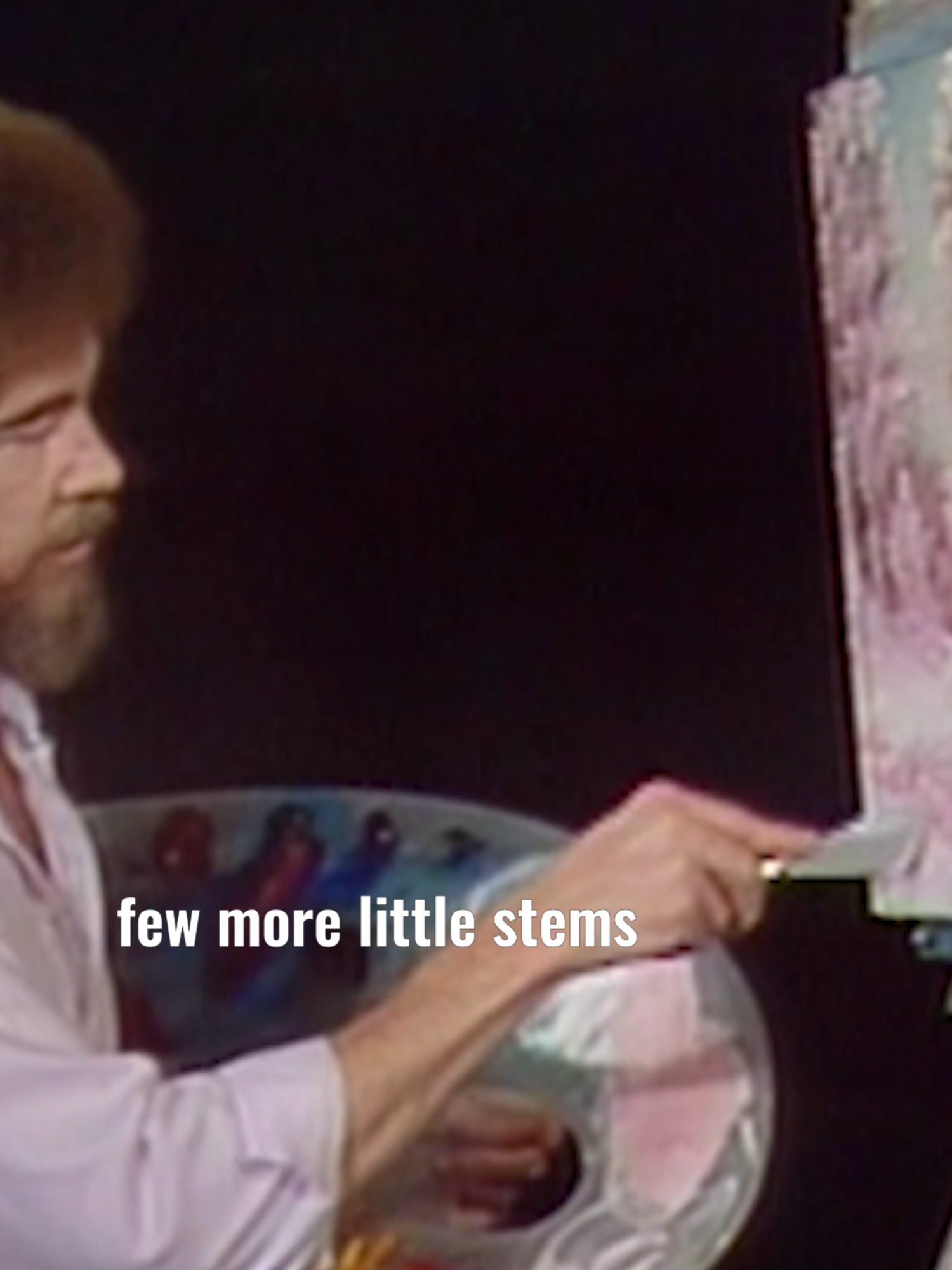 Bob Ross shows you how to add details into your painting. This painting is Winter Sun from Season 2, Episode 2. #paintlikebobross #paintingtutorial #quoteoftheday