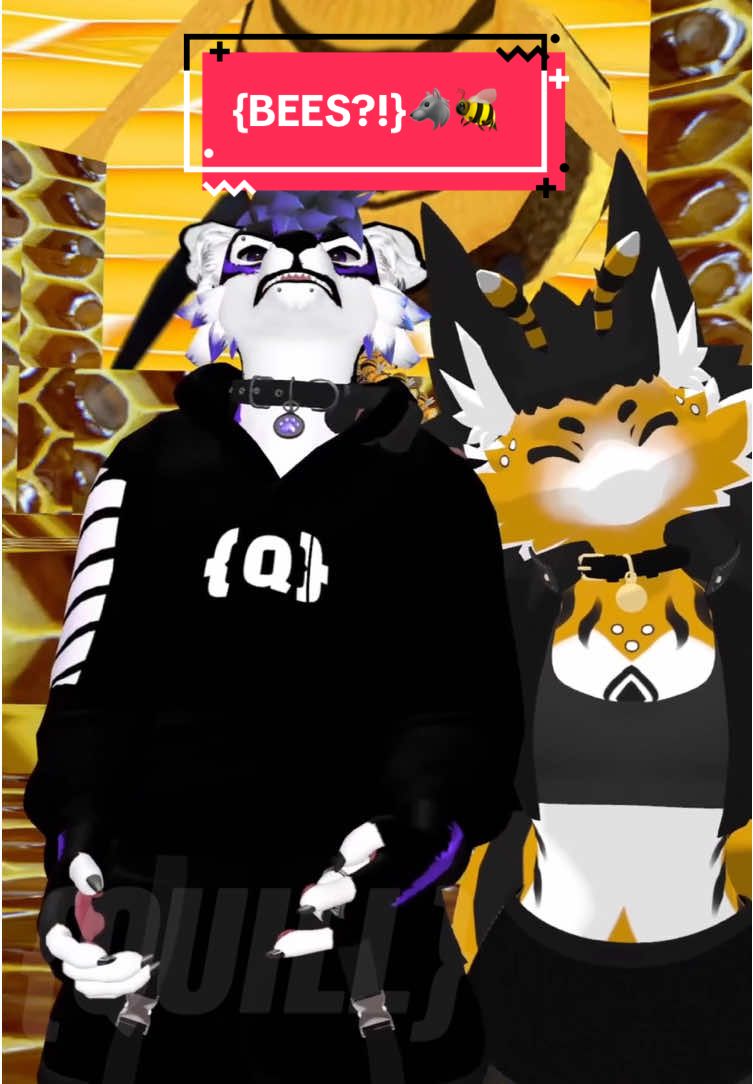 Wanna bee a bee?? You just need to beelieve. 🐝🤣 Hope everyone is well! AC pics and vids coming soon! 😉🐺 - Thank you again to @blavkfox115 for being a part of the video! 🐺🔥 - #vrchat #Vrchat #fyp #furryfandom #furrytiktok #furry #vrchatcommunity #vrchatfurry #vrchatmemes #vrchatcomedy #vrchatfunny #archercanine #vrchatmoments #furriesoftiktok #furriesofvrchat #furriesontiktok #Fullbodytracking 