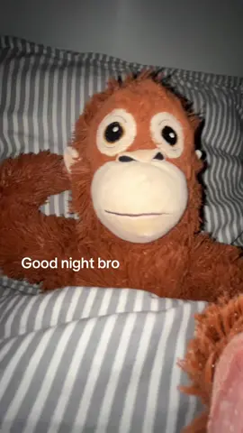 Sleep well 😴💤 #monkey #ikeamonkey #ikea #foru #vili #night #goodnight #sleep 
