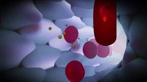 Blood cell flow animation created using Cinema 4D #animation #3D #foryou #art #medical 