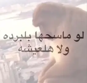 المقطع للضحكك…………#اكسبلور #الشعب_الصيني_ماله_حل😂😂 #تصاميم #كثرو_الحرامية #explore #شاشة_سوداء🖤 #حزن 