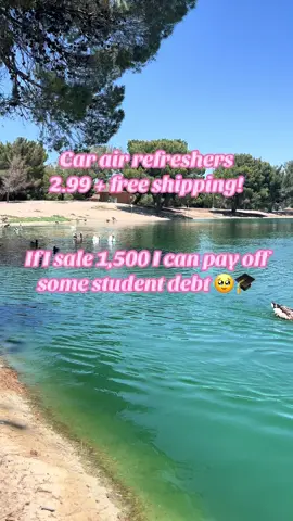 Help me grow my page! I love finding and sharing great deals 💵 I promise to post more often like I used to 🩵 #tiktokshop #carmusthaves #airrefresher #flashsales #affordable #viral 