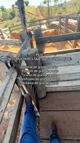 Coisa pouca🤣  #fy #viral #country 