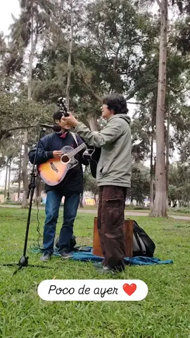 Lima la gris -Cancion propia #musica #campodemarte #acustico 