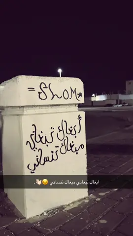 ابغاك تبغاني ؟ ما ابغاك تنساني 😣👋🏻#explore #تبوك #SLOM #القادسيه #النظيم_العظيم #viral #fypシ゚ #4u 