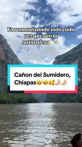 Yo siempre que veo la naturaleza todo encantado🤩🤩 #chiapas  #cañondelsumidero 
