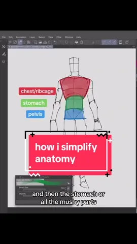 short video about how I construct the body! I don’t consider myself an expert at anatomy nor think my method is the best, just thought i’d share it in case it inspires someone! just remember that you have to learn the fundamentals before you simplify them #arttips #arttutorial #anatomy #art #artimprovement #figuredrawing 