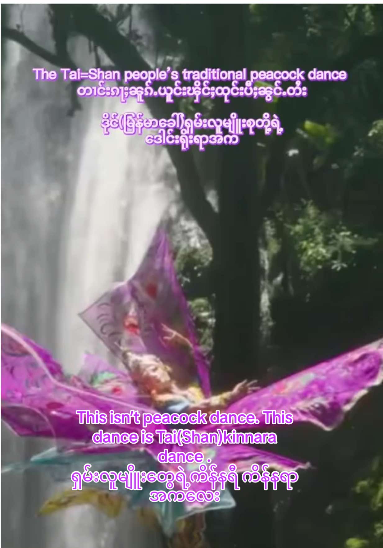The Tai=Shan people’s traditional Kinnara Dance တၢင်းၵႃႈၼူၵ်ႉ ၾိင်ႈထုင်းပီႈၼွင်ႉတႆး ဒိုင်(မြန်မာခေါ်)ရှမ်းလူမျိူးစုတို့ရဲ့ ကိန်နရီ ကိန်နရာ ရိုးရာအက #泰族姑娘 #泰族🇱🇹汉族🇨🇳小姐姐 #taikadaifamily ##pinoungtaihao #taipeoplesKinnaraDance #taipeopleintheworld #taiworldwide #titokmyanmar #fpyシ #foryoupage#紧那罗舞 