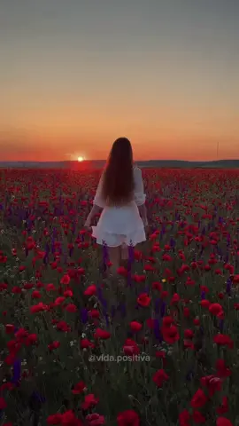 #reflexionesdelavida #motivacion #amorproprio #reflexion #actitudpositiva #tiktokusa 