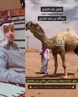 #اكسبلور #ترند #الابل #اكسبلورexplore #الشعب_الصيني_ماله_حل😂😂 #الابل_عطايا_الله_عشاق_البداوة_🐪😍 #مزاين #النهدي 