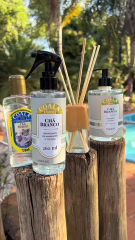 Kit Coala Chá Branco 🐨🧺🫧🏠  Clique Abaixo e Garante já o Seu com o Frete Grátis !!!  #coala#fly#chabrancocoala#aromatizador#sabonete#casacheirosa#donadecasa#