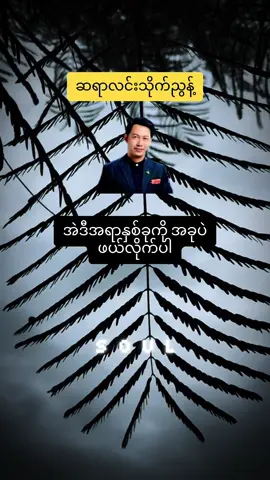 အတွေးလွန်ခြင်းနဲ့ အပြစ်တင်ခြင်းကို ဖယ်ရှားလိုက်ပါ📚📖📙 #soul #လင်းသိုက်ညွန့် #စာပေ #knowledge #motivation 