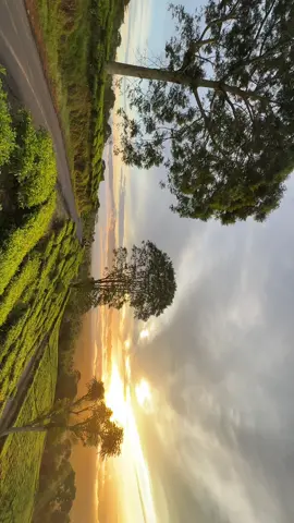 Sunrise at #kebuntehgunungdempo #pagaralam #morningvibes #lewatberanda #foryoupage #xybca #fyp 