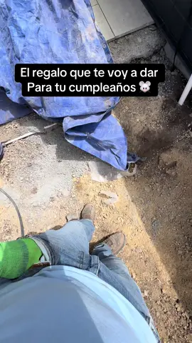 Será que si le digo a mi suegra que le cambio estos ratones por su criatura quiera 😜🤣#paratiiiiiiiiiiiiiiiiiiiiiiiiiiiiiii #ratones #meme 