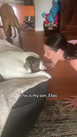 I knew when I saw others doing this trend and their dogs were getting startled that my Elias would simply kiss my open mouth. 😂 