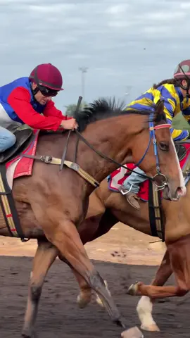 “Field of Flutes” and Kristo Sardelic #horseracing #racehorse #thoroughbred #thoroughbredsoftiktok #horseracingtiktok #jockeyedit #thoroughbrededit #horseracingedit #jockeylife #darwinturfclub #equestrians #thoroughbrededits 